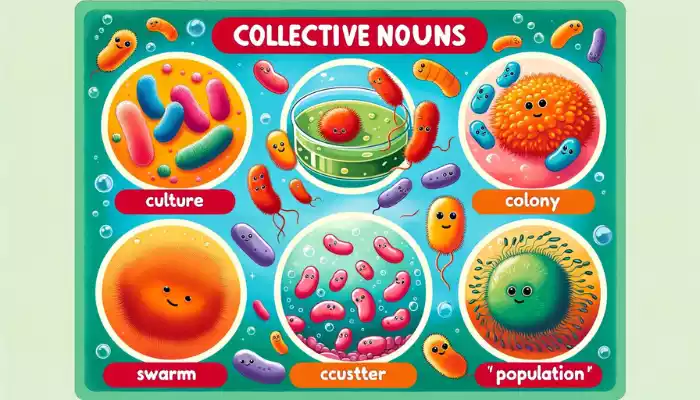 What is the Collective Noun for Bacteria?