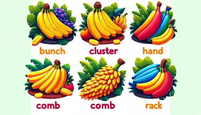 Collective Noun for Bananas
