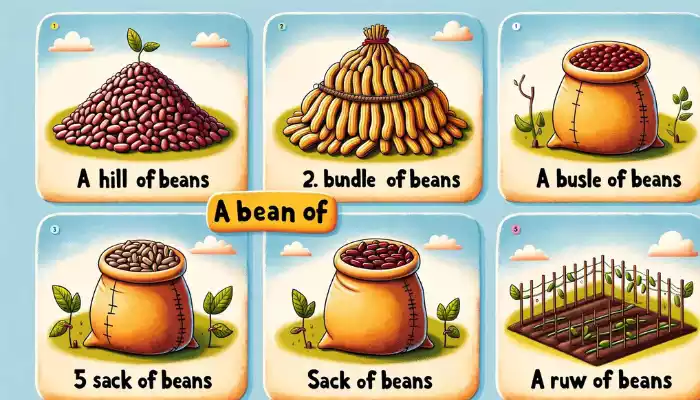 Collective Noun for Beans