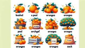 What is the Collective Noun for Oranges?