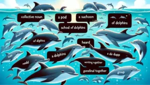 Explore Collective Noun for Dolphins?