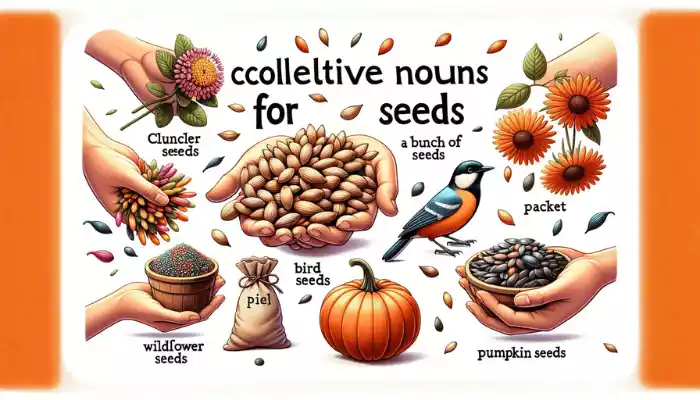 Exploring the Collective Noun for Seeds?