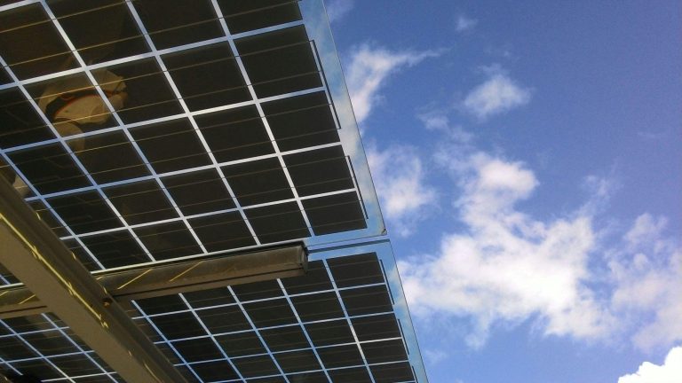 Adani Enterprises to Boost Renewable, Solar Operations in 2025
